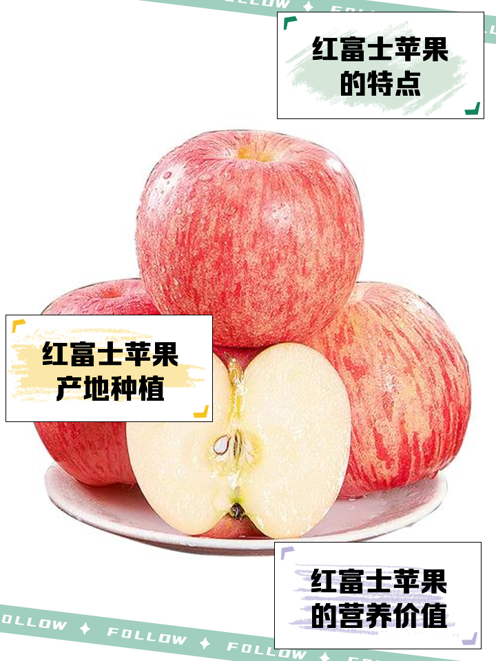 富士苹果尺寸版富士苹果最新市场价格-第2张图片-太平洋在线下载